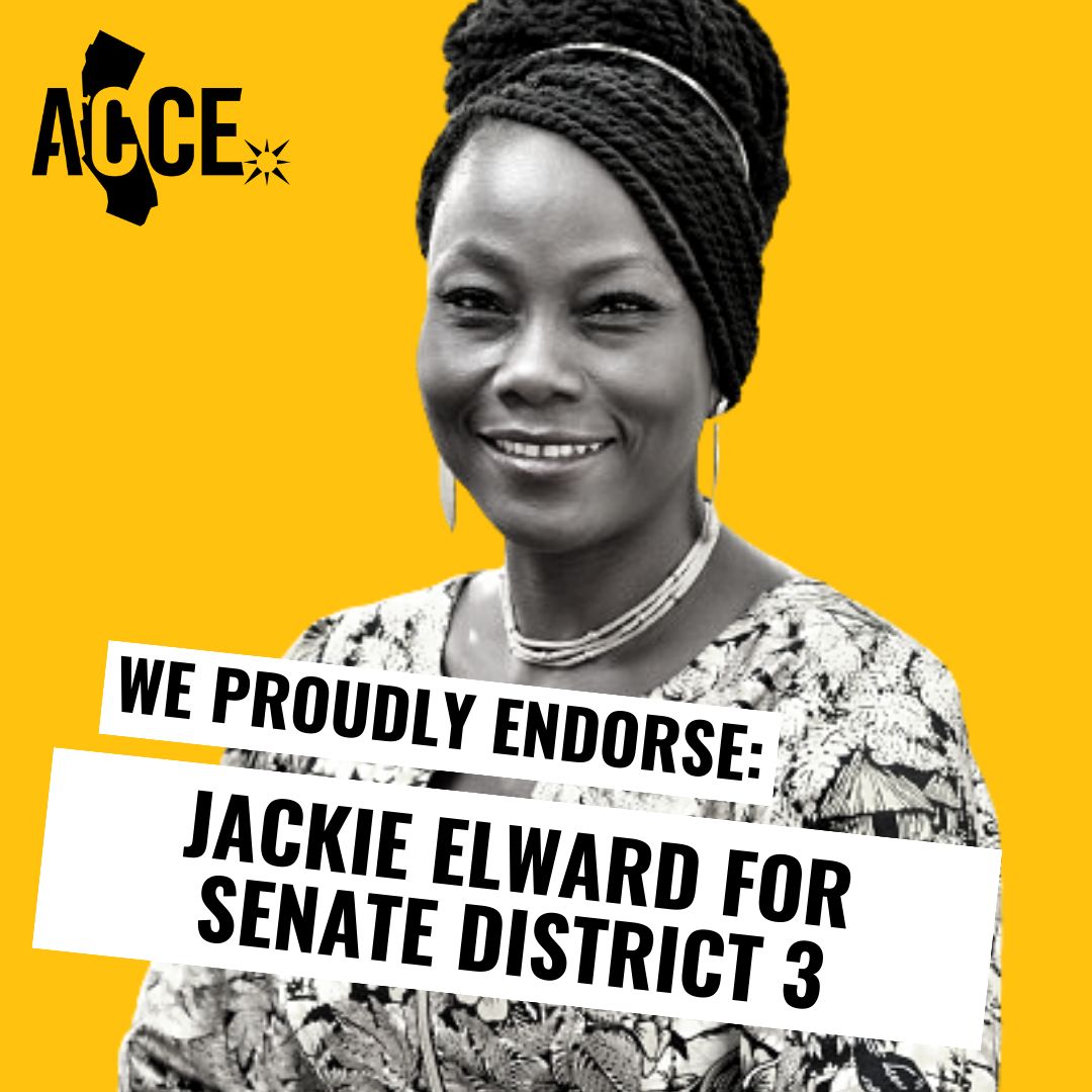 🐝 ACCE 🐝 tweet media