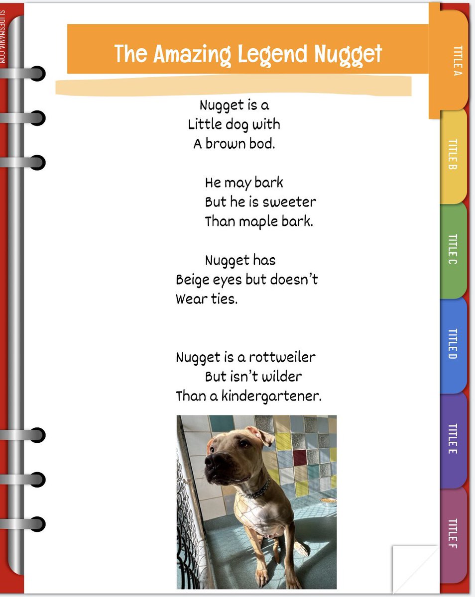 Lauren Guess tweet media