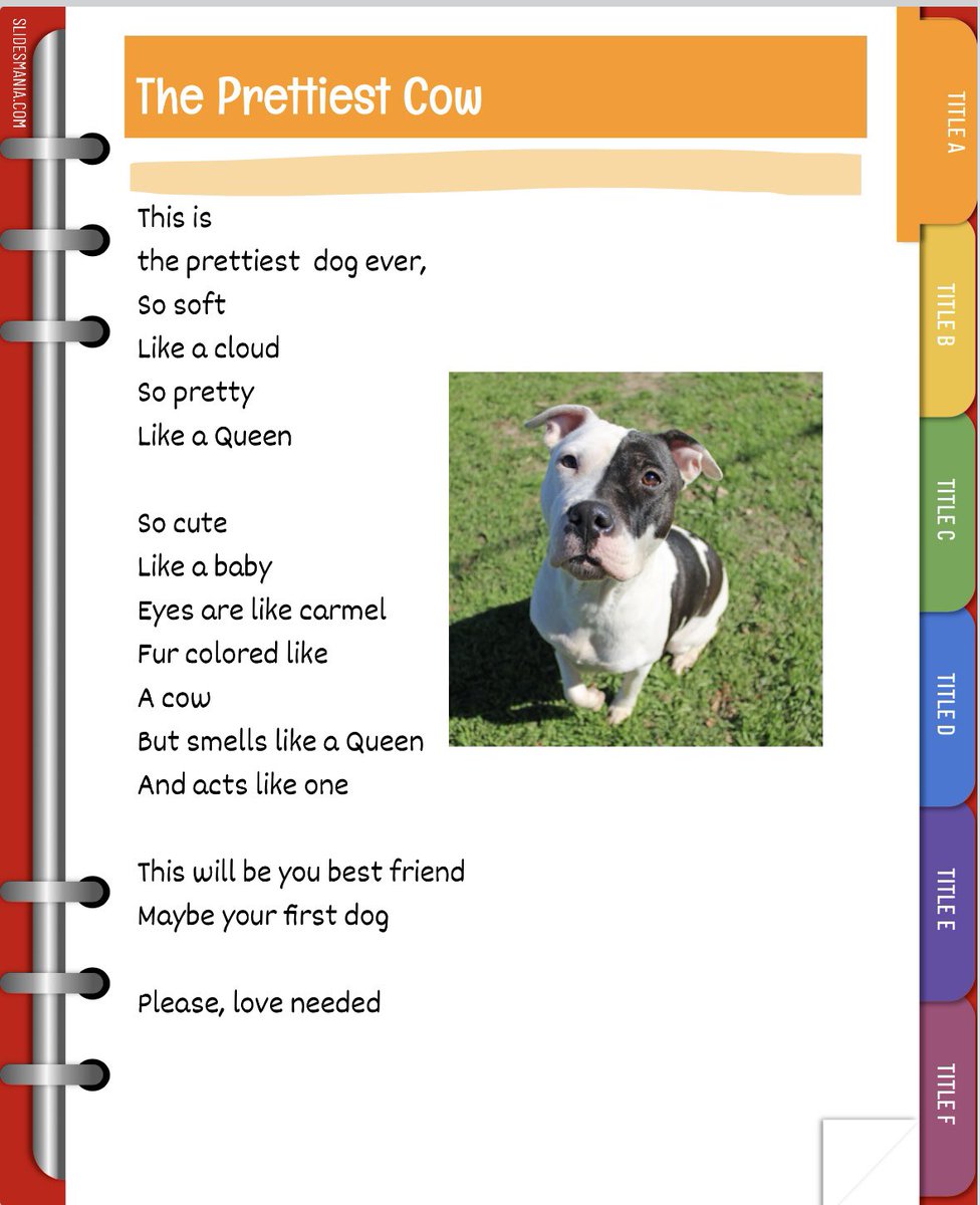 Lauren Guess tweet media