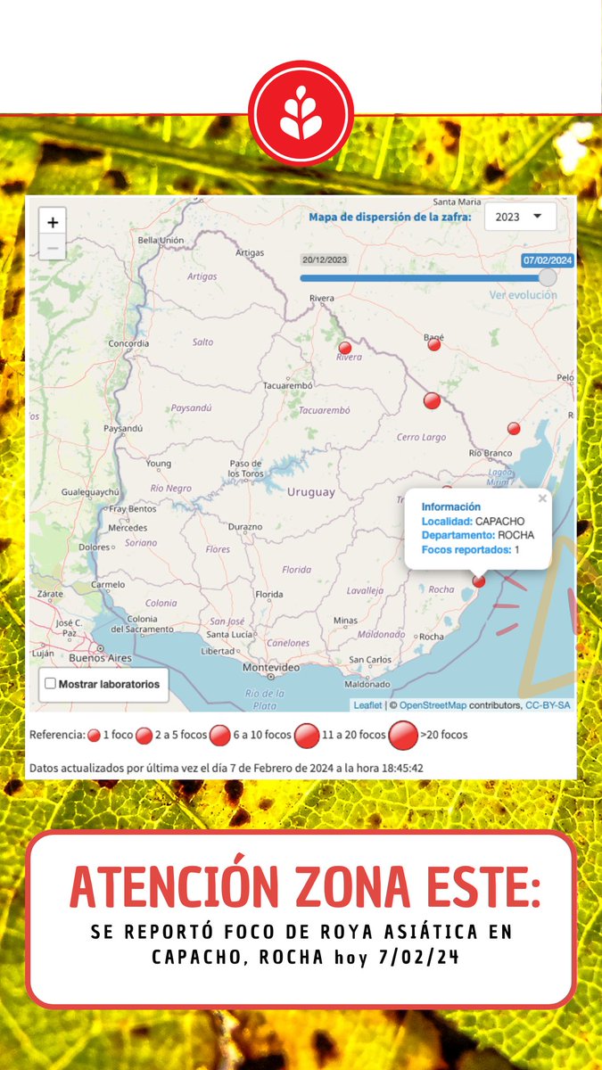 ⚠️⚠️⚠️ ATENCIÓN AGRICULTORES DEL ESTE

🔺 YA HAY FOCOS REPORTADOS de ROYA ASIÁTICA en 📍Vergara (TyT) y 📍 Capacho (Rocha)