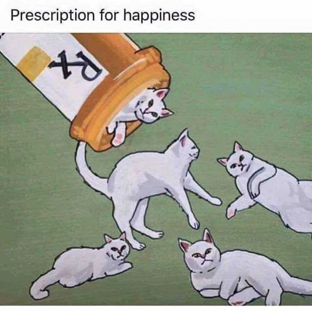 😴😴
