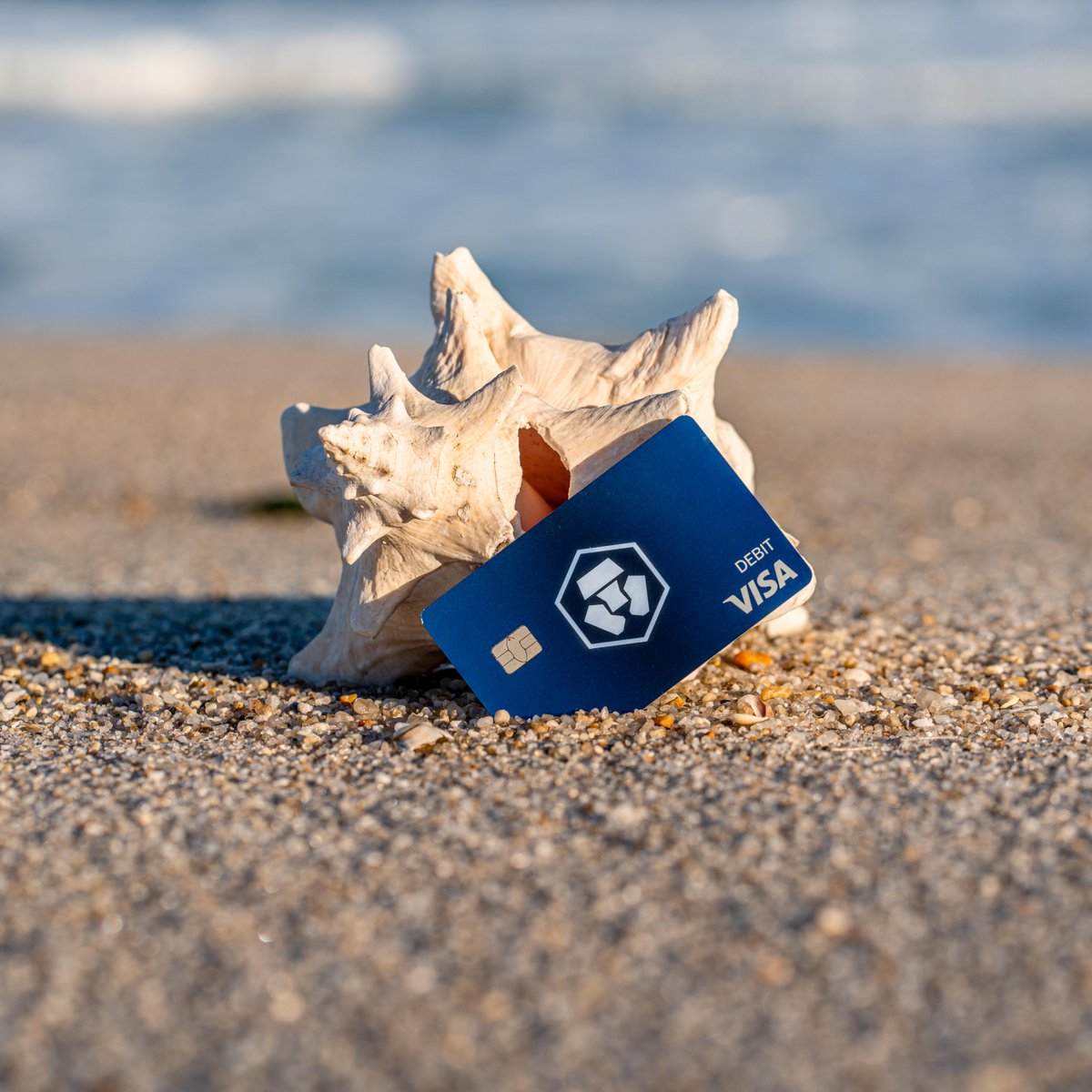 cryptocom's tweet photo. Seashells by the sea shore. https://t.co/zJolu1RGlT