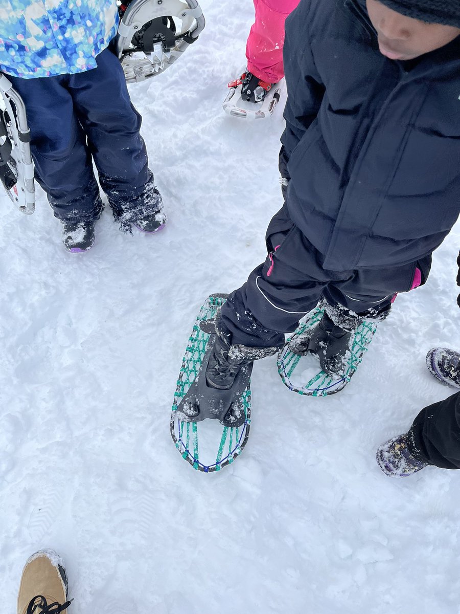 Mrs. Griffiths tweet media