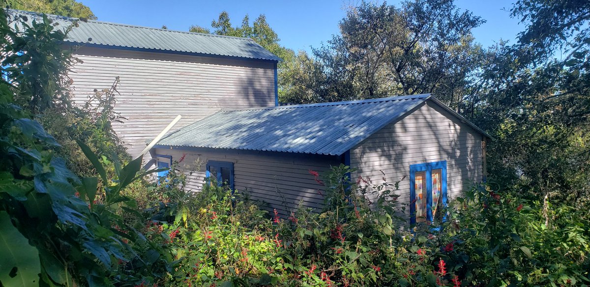 A houses in our ecological center we wish to dedicate to a group working with animal rights. You're in Mexico? Need a mission? Get in touch! Or give a donation for our work on PayPal: fff@moralprod.com Let humanity continue their conflicts - and give love to the inocent animals!