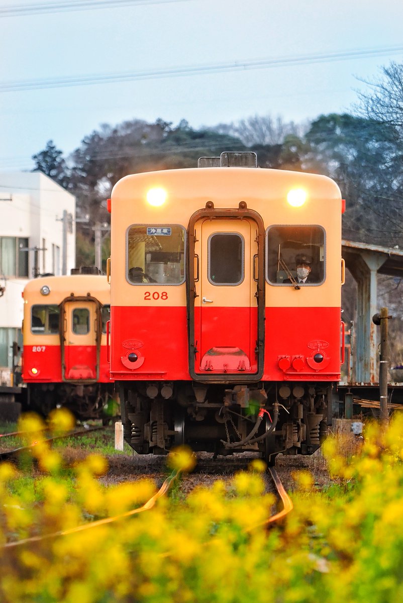 inemuri604's tweet photo. #208の日
#小湊鐵道
#小湊鉄道
#馬立
#キハ200
#OMDS
#OMSYSTEM
#OM1
#40150pro https://t.co/wjsYMKoE0Y