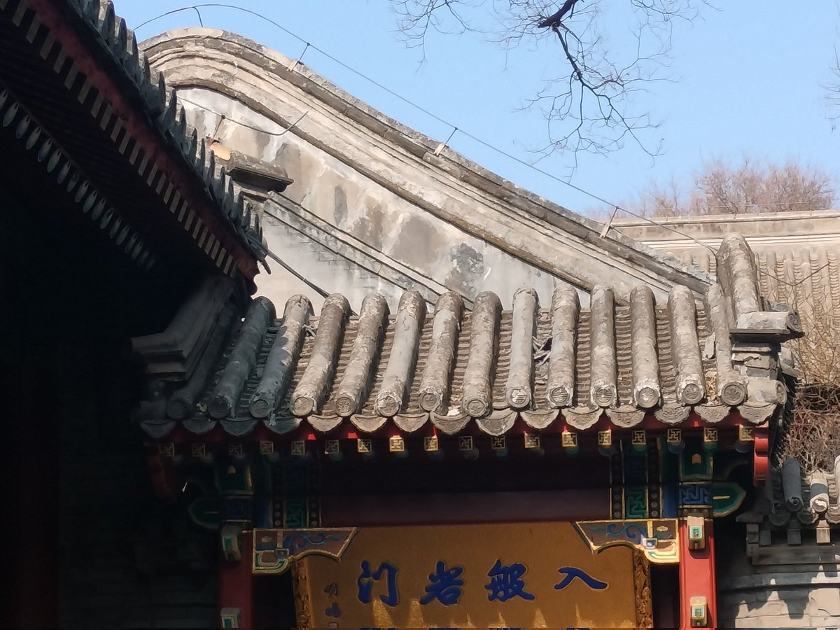 🍑🍑（双开门反差小m版） (@woshihaorenna) on Twitter photo 