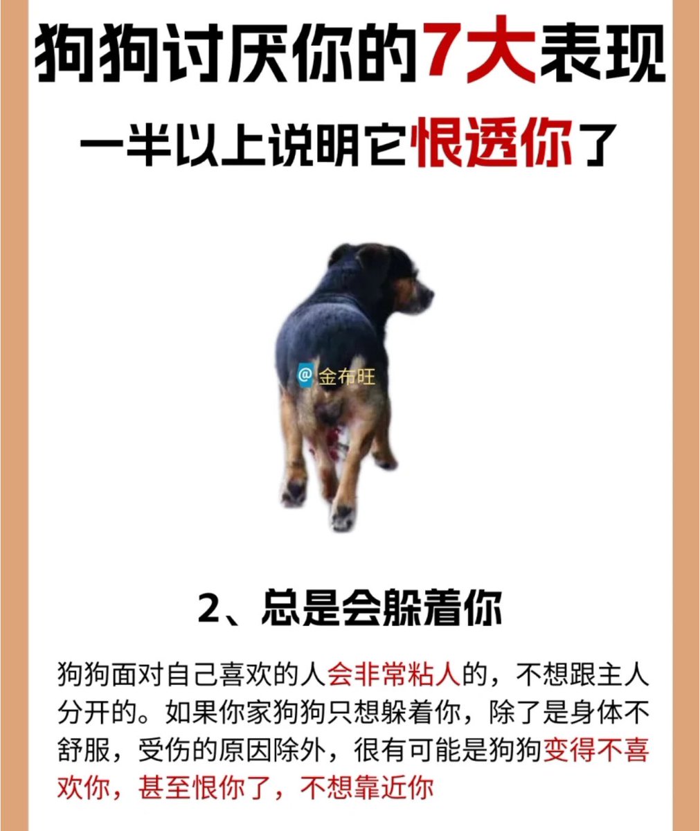 狗狗缺水最怕你沒發現！這4大跡象暗示汪星人水喝不夠| gugudy, image size:1011x1200