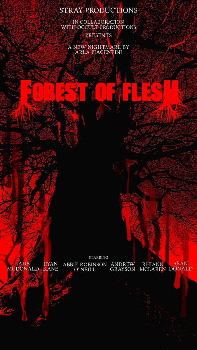 Stray Productions tweet media