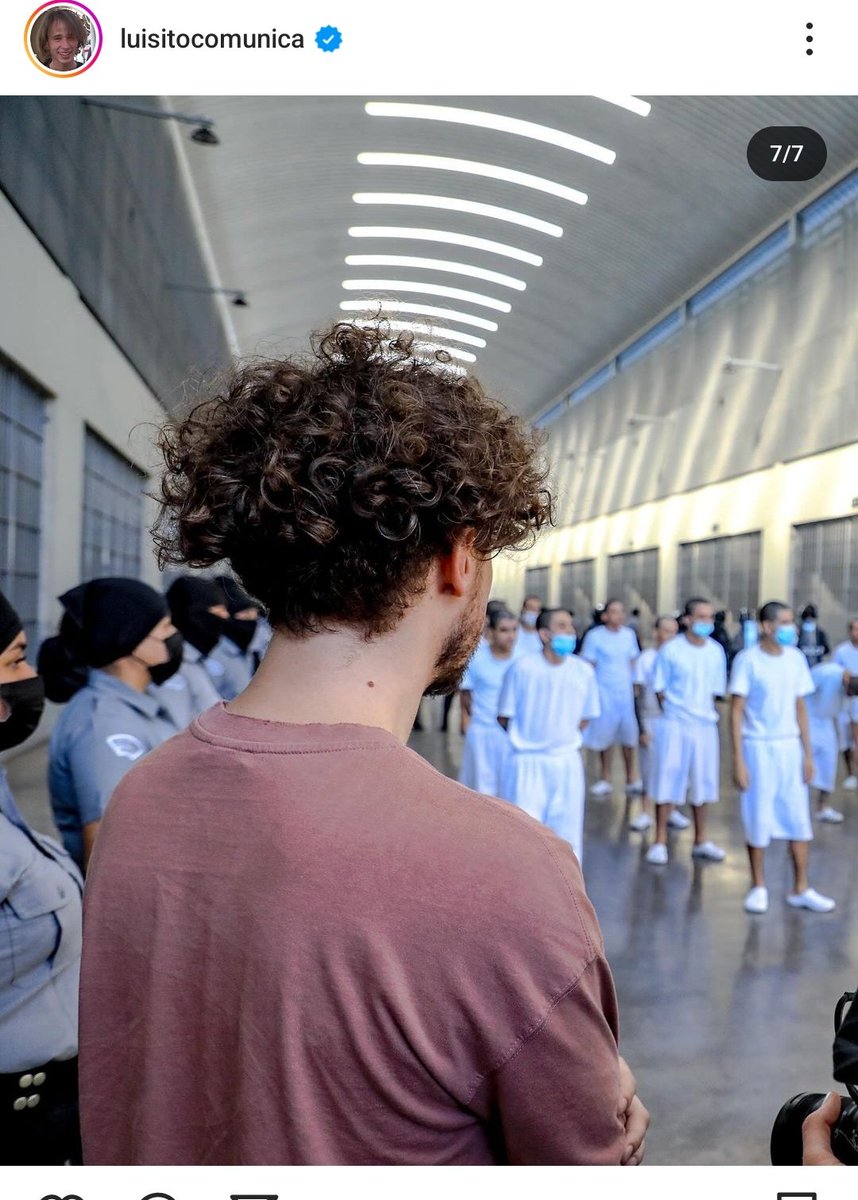 El Malverguiado tweet media