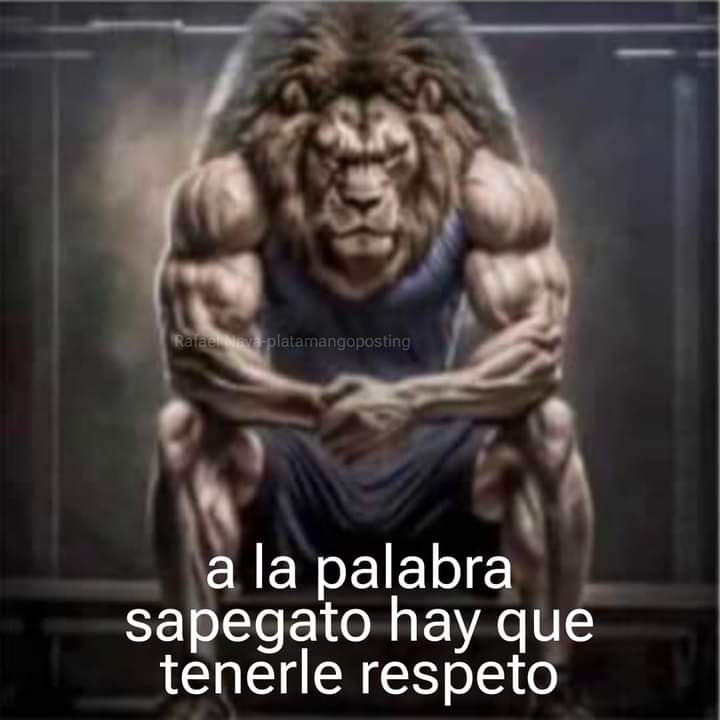 Venequisimo's tweet photo. Hay que tenerle respeto https://t.co/jfQ2gneRd7