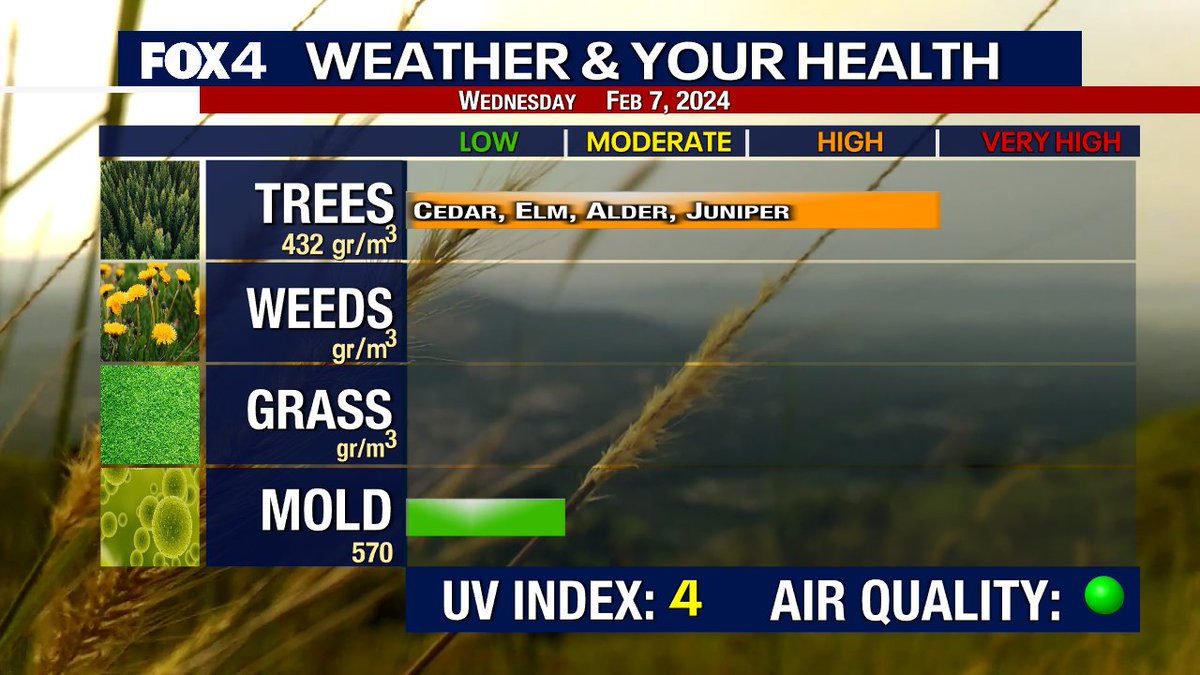 Definitely a bit early for all of this tree pollen! Anyone else feeling it?