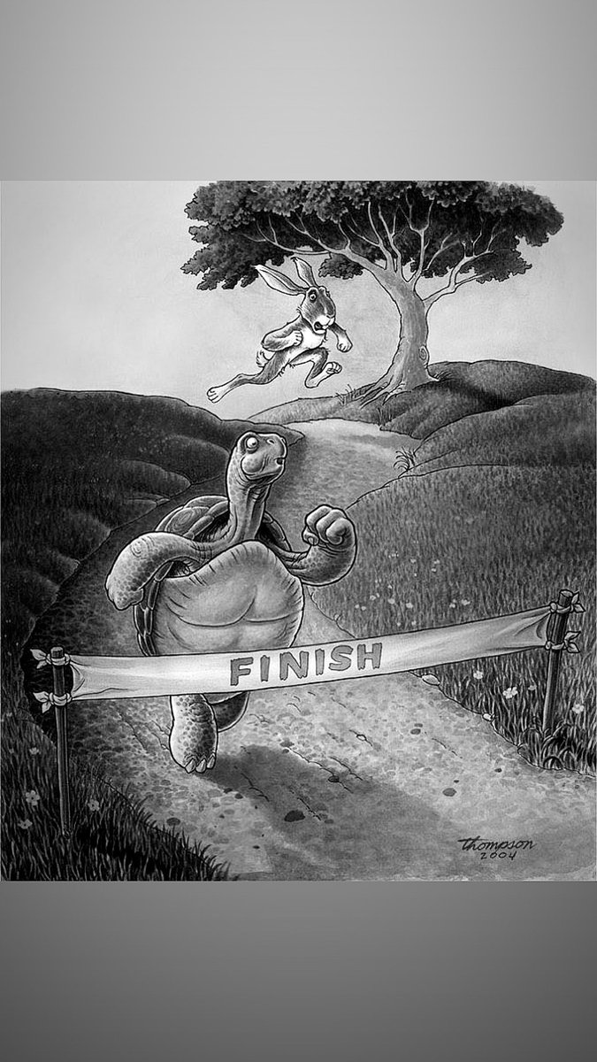 Antwanwilliams_'s tweet photo. The turtle won the race ✍🏾…..🐢 https://t.co/zqwVhZGPSx