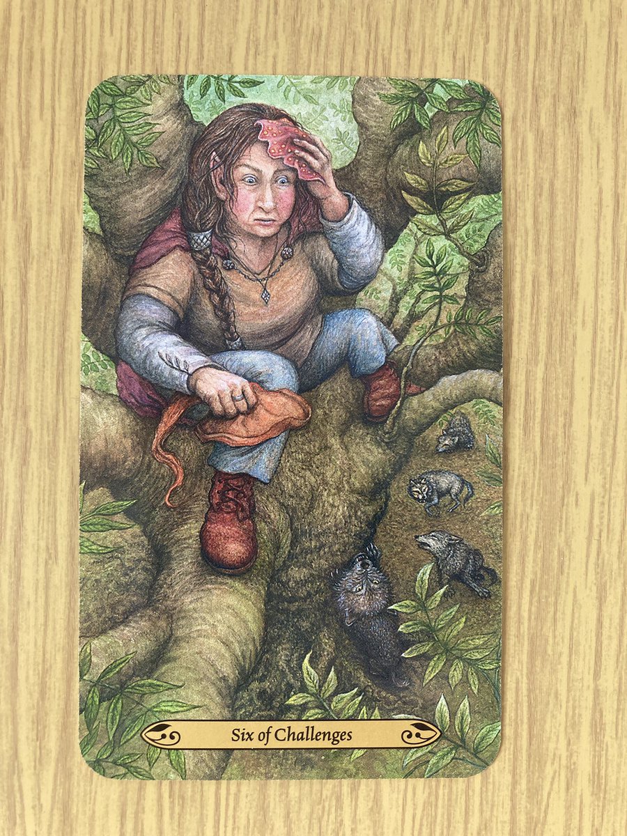 本日の→1枚「six of challenges」👼

オオカミから逃げるために木に登った女性のカードです。その事象と闘うことは、賢い方法ではありません。今は休んで回復し、次のステップの計画を立てましょう🌳
kw: 撤退。危険な状況からの救出。再結成する