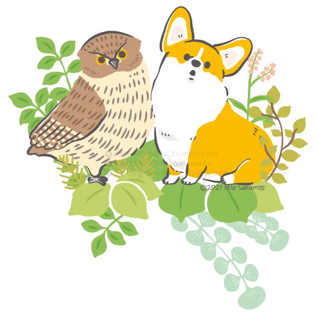 フクロウの日のフクロウとコーギーたち#フクロウの日 