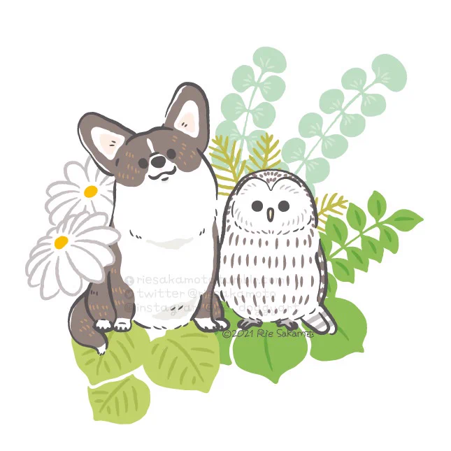 フクロウの日のフクロウとコーギーたち#フクロウの日 