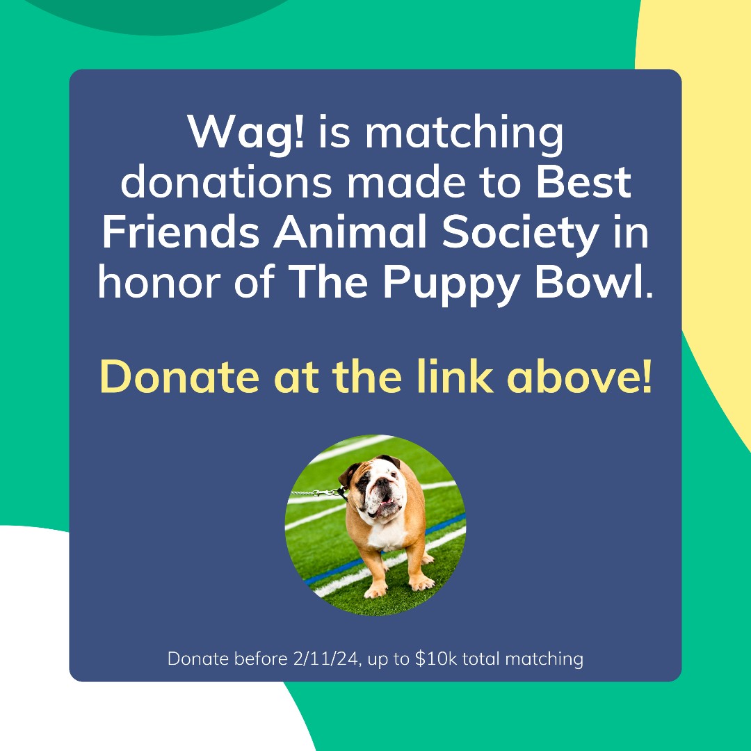 @Wagwalking is matching donations made to <a href="/bestfriends/">Best Friends</a> in honor of the Puppy Bowl on @animalplanet 🐶🏈 Donate here: bfas.org/dx2h Watch Puppy Bowl XX Sunday, February 11 at 2P ET/11A PT on Animal Planet. #PuppyBowl