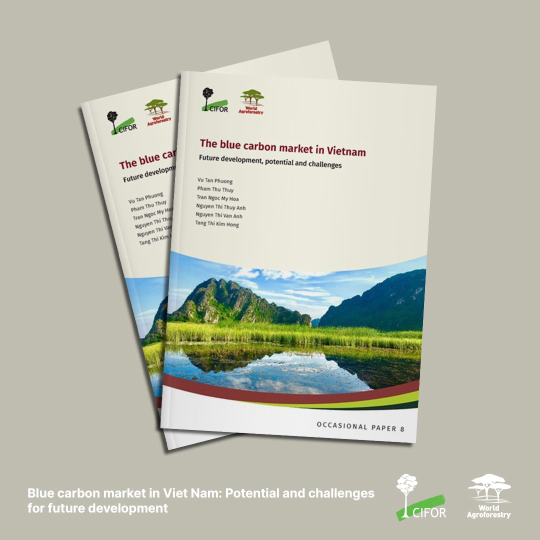 Did you know Vietnam's blue carbon ecosystems hold vast potential to combat climate change?

This #publication explores how #mangroves, peatlands, & #wetlands can contribute to a sustainable future.

Download a copy:↪️ bit.ly/42un7Yn

#WetlandsMatter #TreesPeoplePlanet