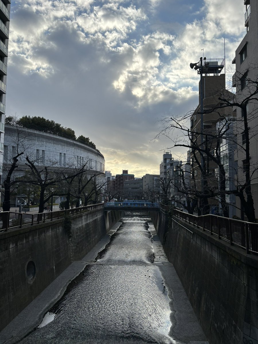 happy_spoonful's tweet photo. おはようございます☀
青空が眩しい今朝
ばっちりヨガを決め、体調を保っています
散歩は目黒川まで
昨日模様替えでテレビの位置を移動するのを、面白そうに見物していたネコ氏🐈
皆さまよき１日を😊
#朝活 
#イマソラ 
#朝散歩
#ウォー��ング 
#猫のいる暮らし
#猫好きさんと繋がりたい
#ダイエット https://t.co/2tsCaTMZiv