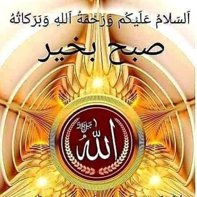 🌹 اسلام و علیکم 💖 صبح النور بخیریت🕋🌴🇵🇰 اپنے رب سے مانگا کرو اپنے لیے اور سب کے لیے سدا خوش رہو