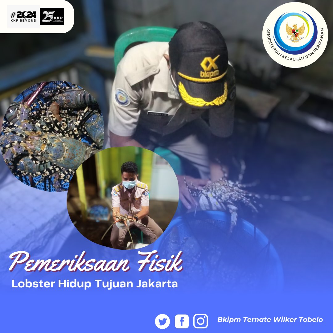 Hai #sahabatquarantine, 8 Februari 2024 Pejabat Karantina Ikan melakukan pemeriksaan fisik terhadap komoditi lobster hidup yang akan dilalulintaskan tujuan Jakarta.
#MENTERIKKP #SAKTIWAHYUTRENGGONO #KKPGOID #KKPBeyond