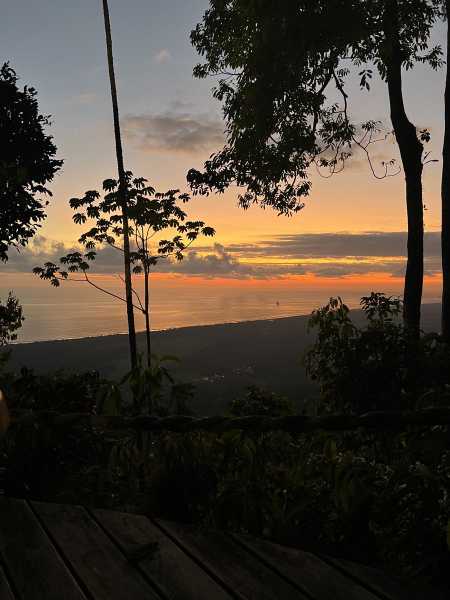 Bobsgrid 💡(Bob Hoogstra) ook op Bluesky tweet media