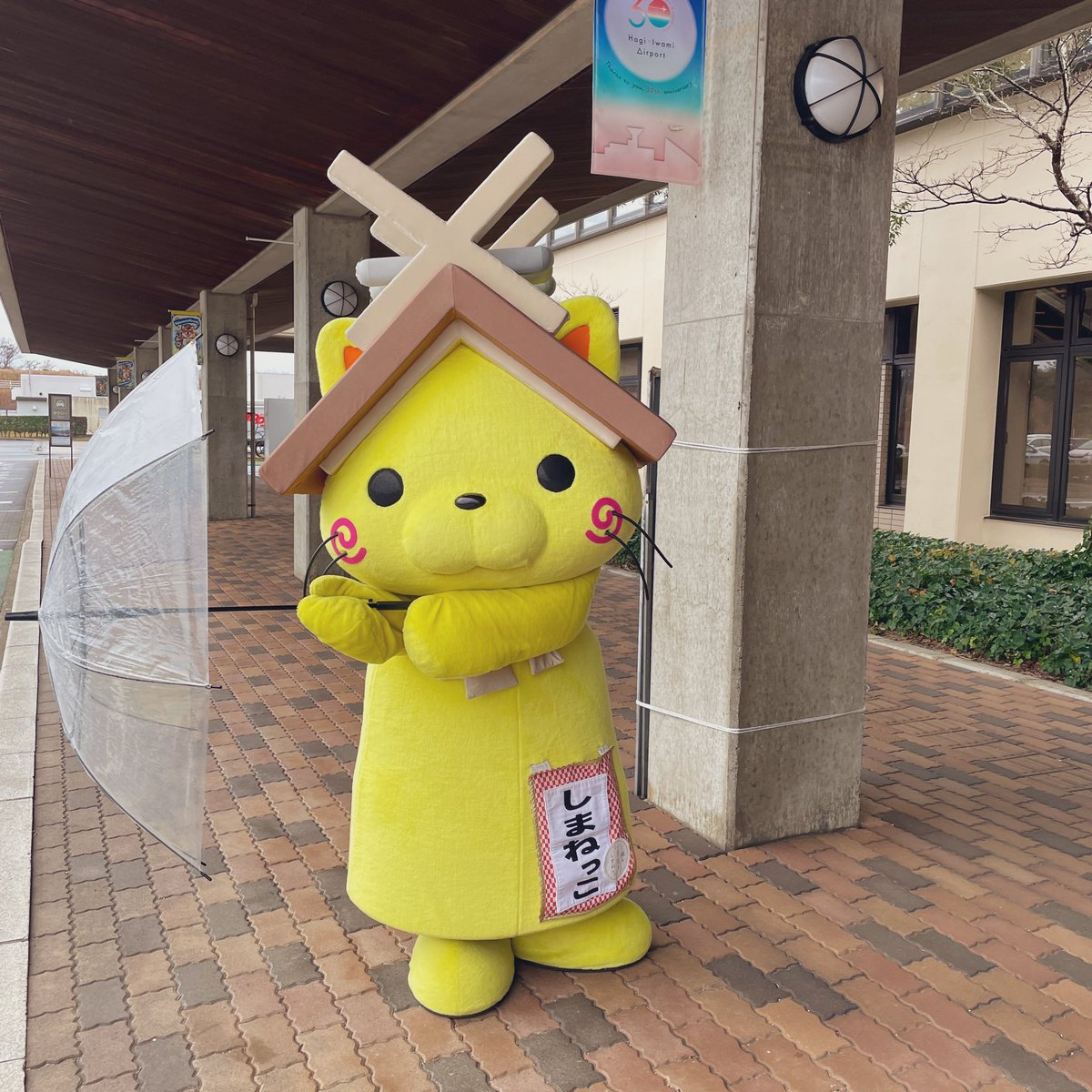 shimanekko_'s tweet image. おはにゃう！
いつもより多く回してるにゃ☂️
にゃんてにゃ(*´꒳`*)
#しまねっこ #傘回し #ごっこ 
#萩石見空港 #益田市