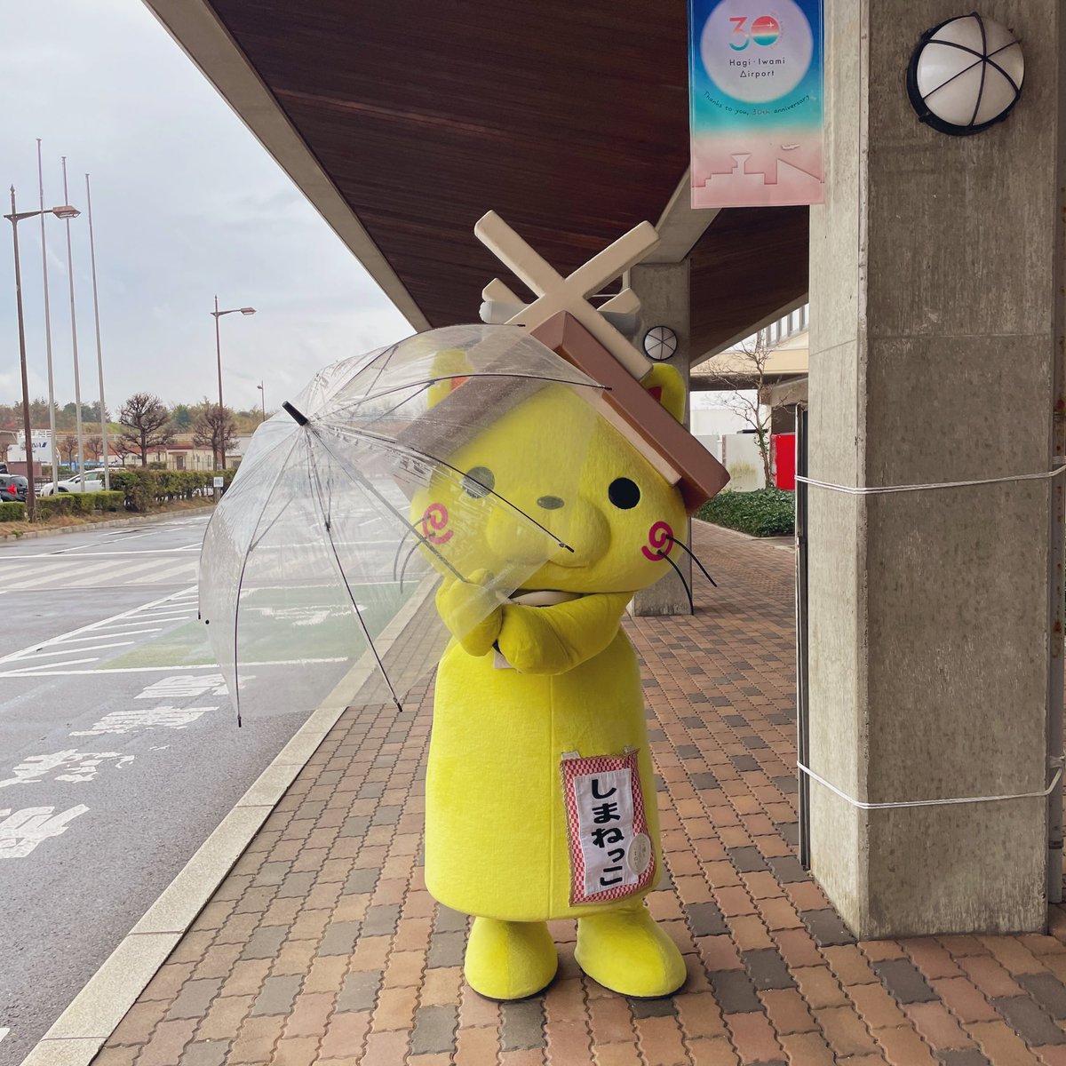 shimanekko_'s tweet image. おはにゃう！
いつもより多く回してるにゃ☂️
にゃんてにゃ(*´꒳`*)
#しまねっこ #傘回し #ごっこ 
#萩石見空港 #益田市