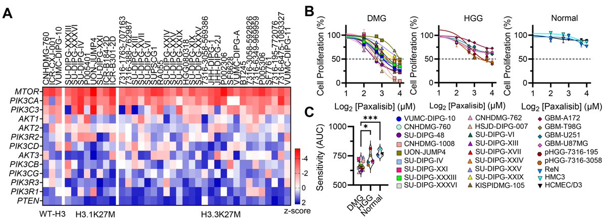Dr Ryan Duchatel tweet media