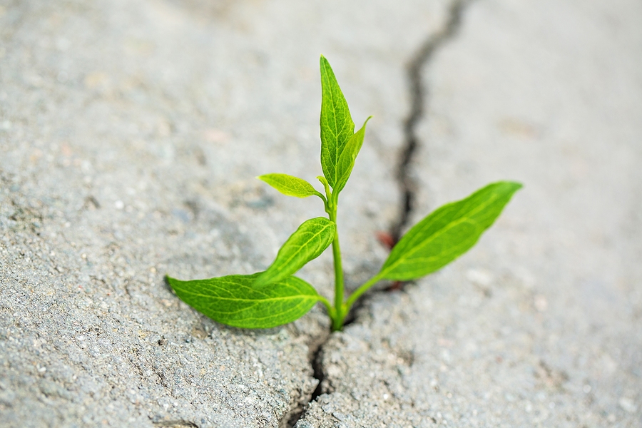 Examining Your Motive: A Crucial Step in Your Writing Journey | written by Megan Brown dlvr.it/T2S8dl