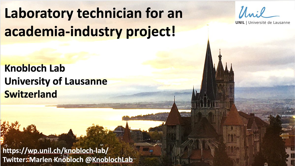 #JobAlert We are recruiting a laboratory technician for an #Innosuisse funded academia-industry project! Check out the details and how to apply here: career5.successfactors.eu/career?career%…