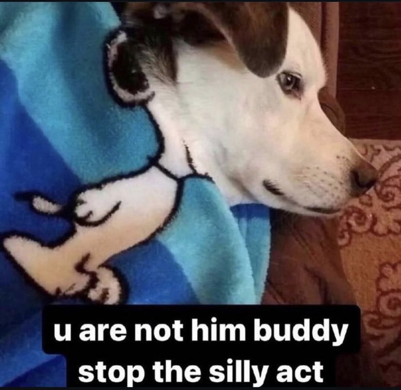 Hilarious and Original (@hi1ar10us) on Twitter photo 