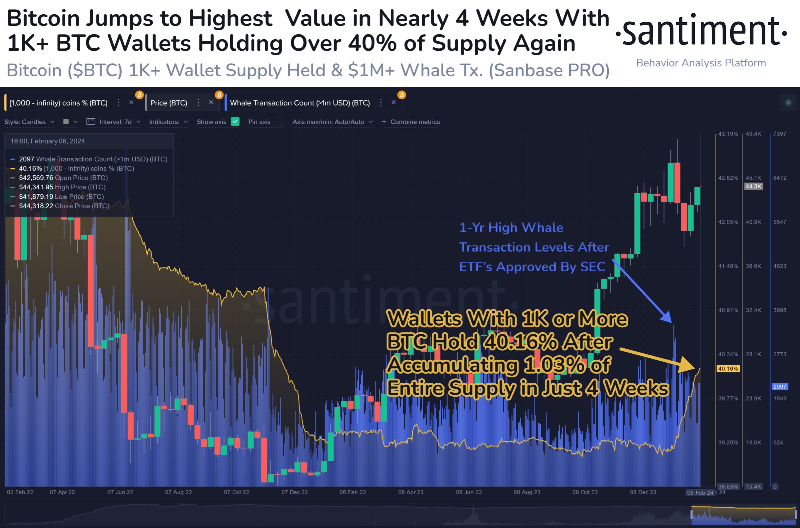 Bitcoin Whales