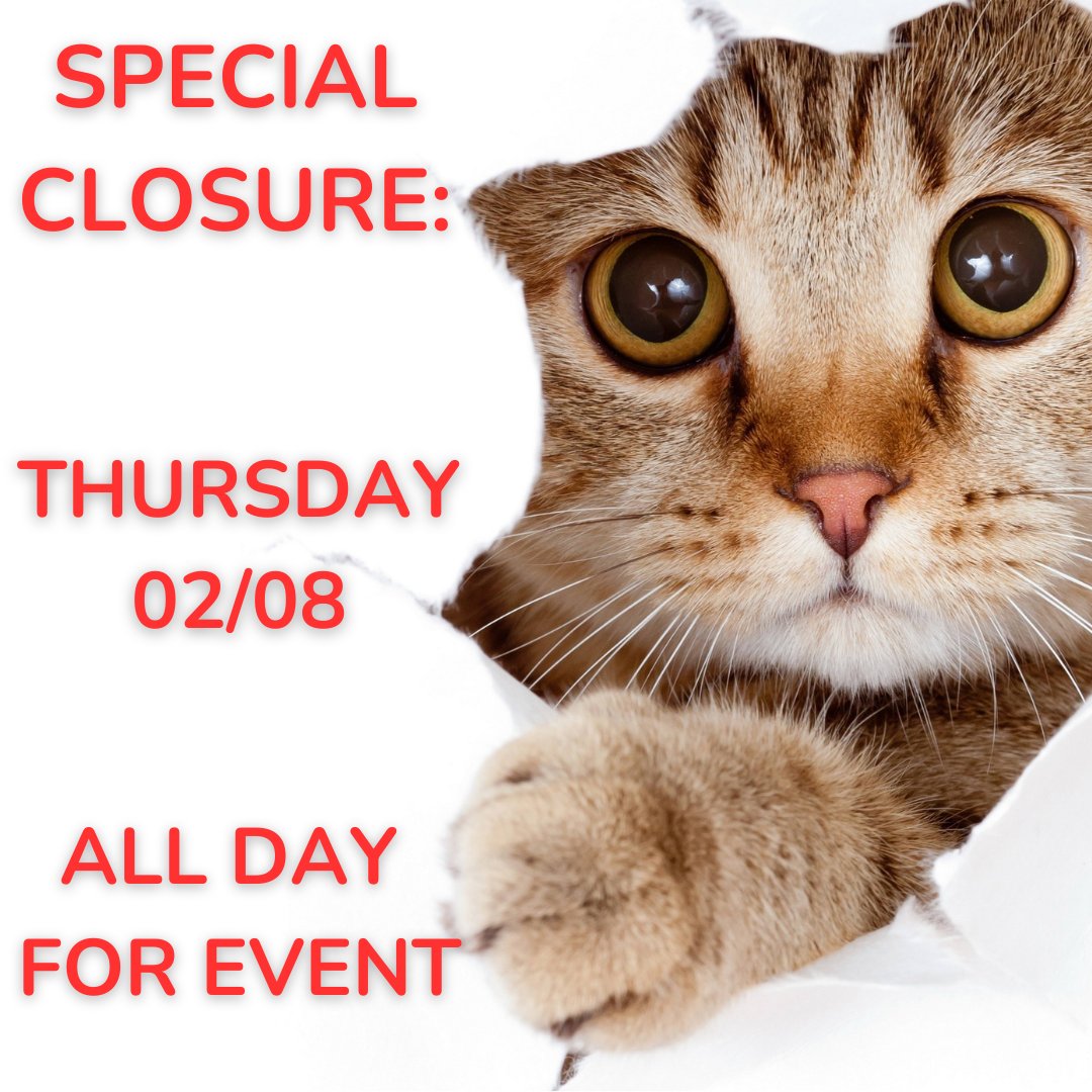 Special Closure on Thursday, February 8th for an on-site event.

There is still time to purchase your tickets to come see us for Food, Special Guests, Black Cat Bingo, Drinks, a Raffle, Valentines, kittens and more!

kittybungalow.org/hairball

#followthebabyface #vegantacos