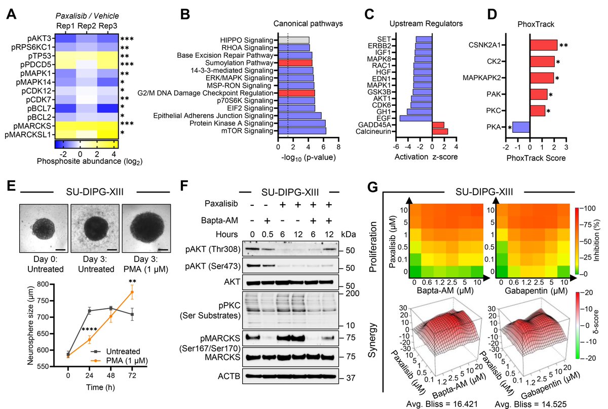 Dr Ryan Duchatel tweet media