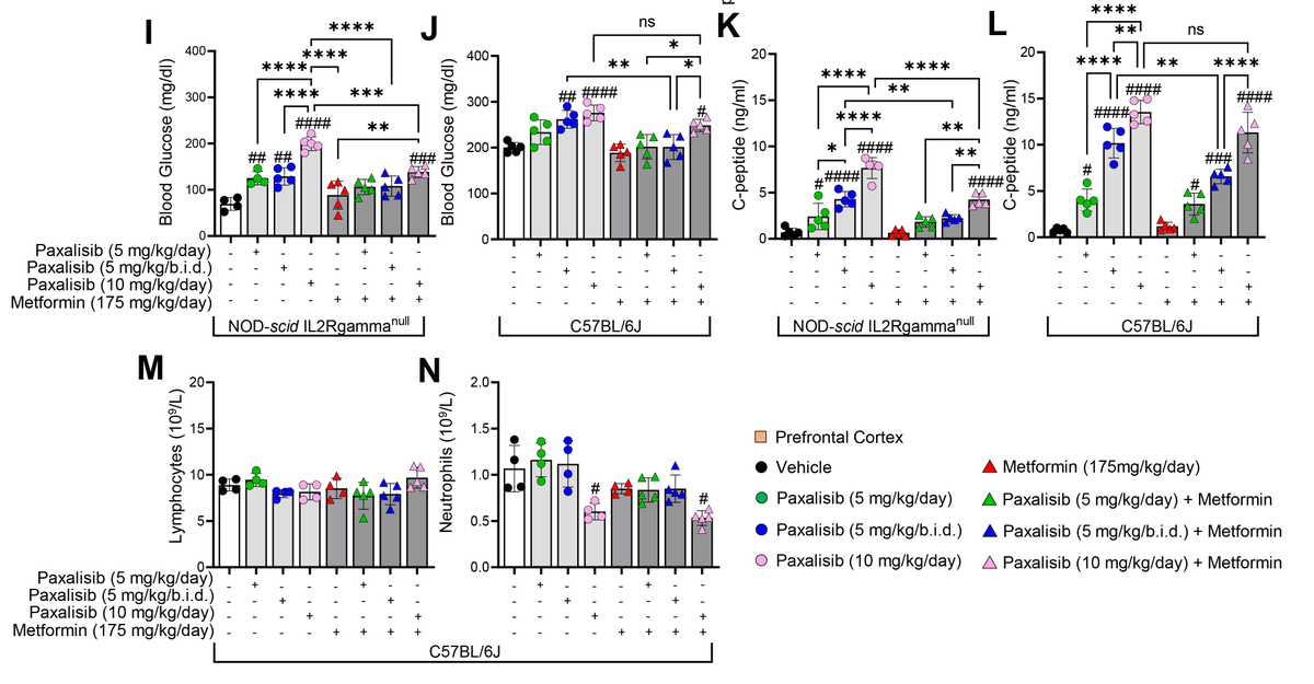 Dr Ryan Duchatel tweet media