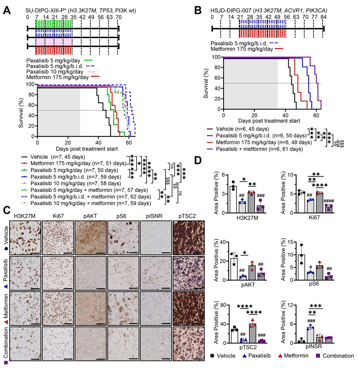 Dr Ryan Duchatel tweet media