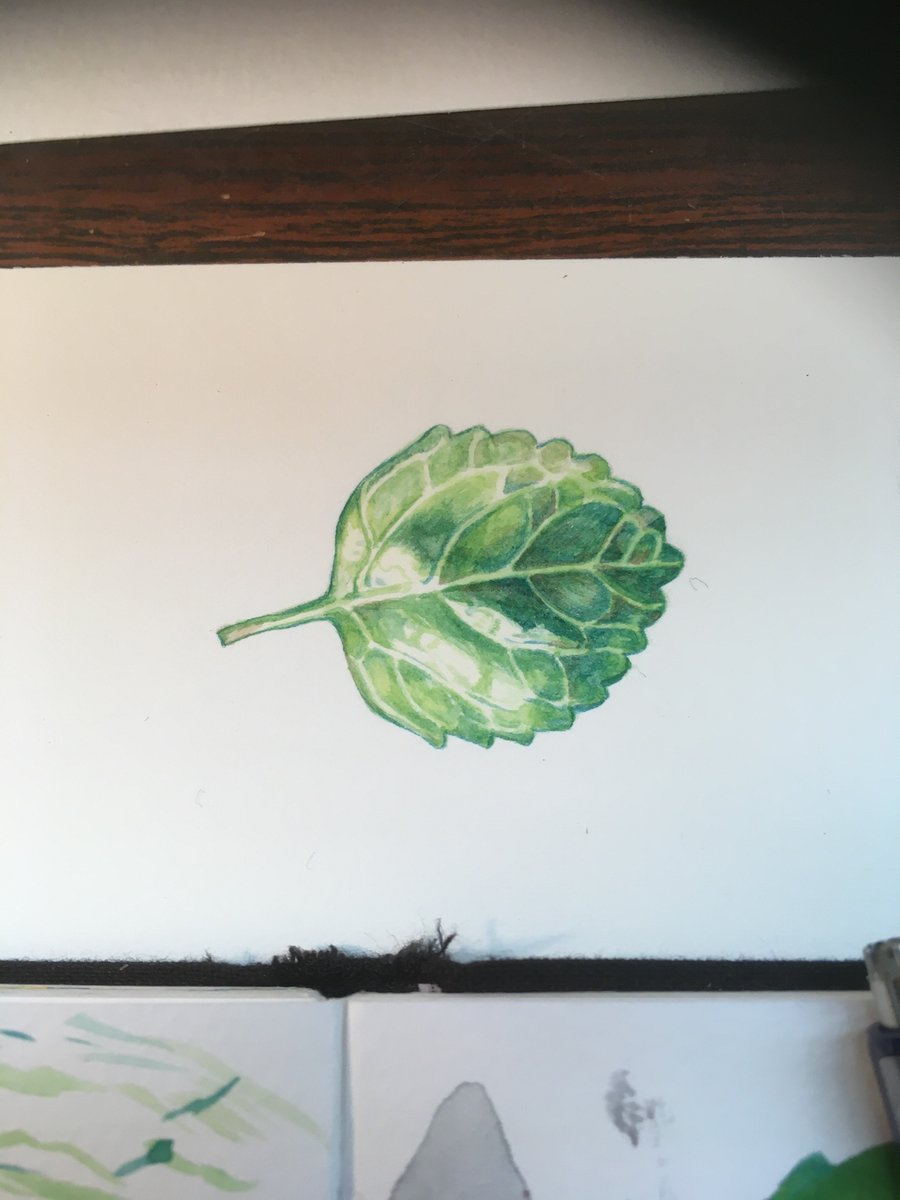 tallsoren's tweet photo. Botanical watercolor class tonight https://t.co/fM8hohzpkR