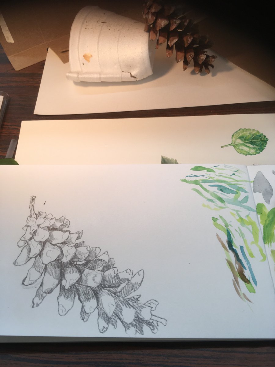 tallsoren's tweet photo. Botanical watercolor class tonight https://t.co/fM8hohzpkR