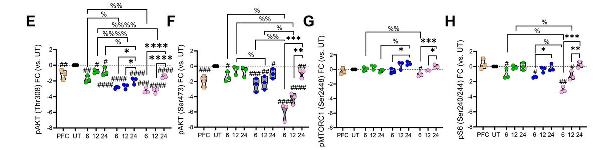 Evie Jackson tweet media
