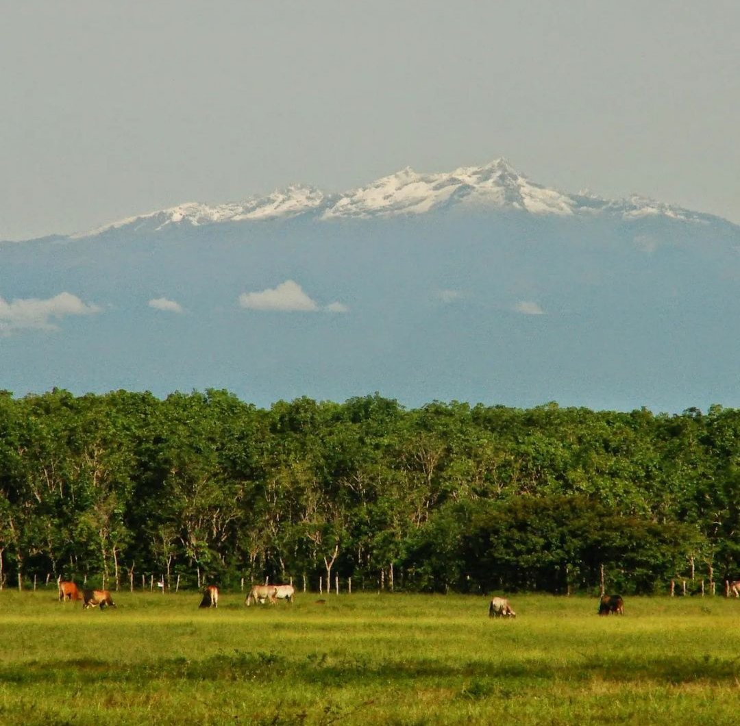 Barinas y Mérida. 

Vista imponente de los Andes venezolanos desde los Llanos.