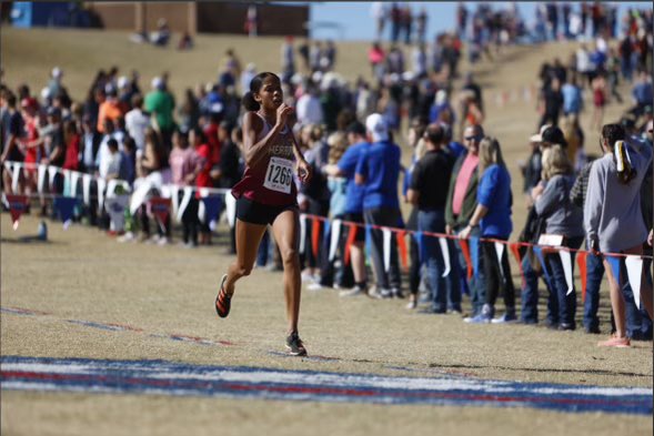 Terrence Melton (@terrencemelton) on Twitter photo Time for me to celebrate my own!!!! On National women in sports Day. Congrats on y’all’s success, just scratching the surface!!!!!!!Dawgs on the field and in the classroom. <a href="/ariannamelton_/">Arianna Melton</a>
<a href="/melton_malia/">Malia Melton</a>
<a href="/layla_melton19/">Layla Melton</a> Time for me to celebrate my own!!!! On National women in sports Day. Congrats on y’all’s success, just scratching the surface!!!!!!!Dawgs on the field and in the classroom. <a href="/ariannamelton_/">Arianna Melton</a>
<a href="/melton_malia/">Malia Melton</a>
<a href="/layla_melton19/">Layla Melton</a>