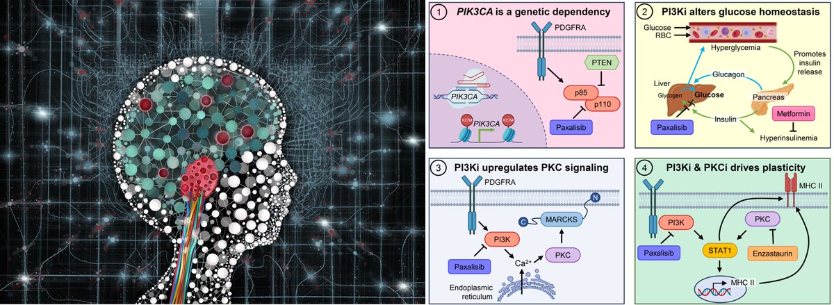 Matt Dun, PhD tweet media