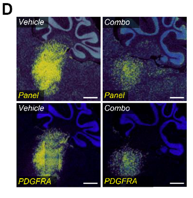 Evie Jackson tweet media