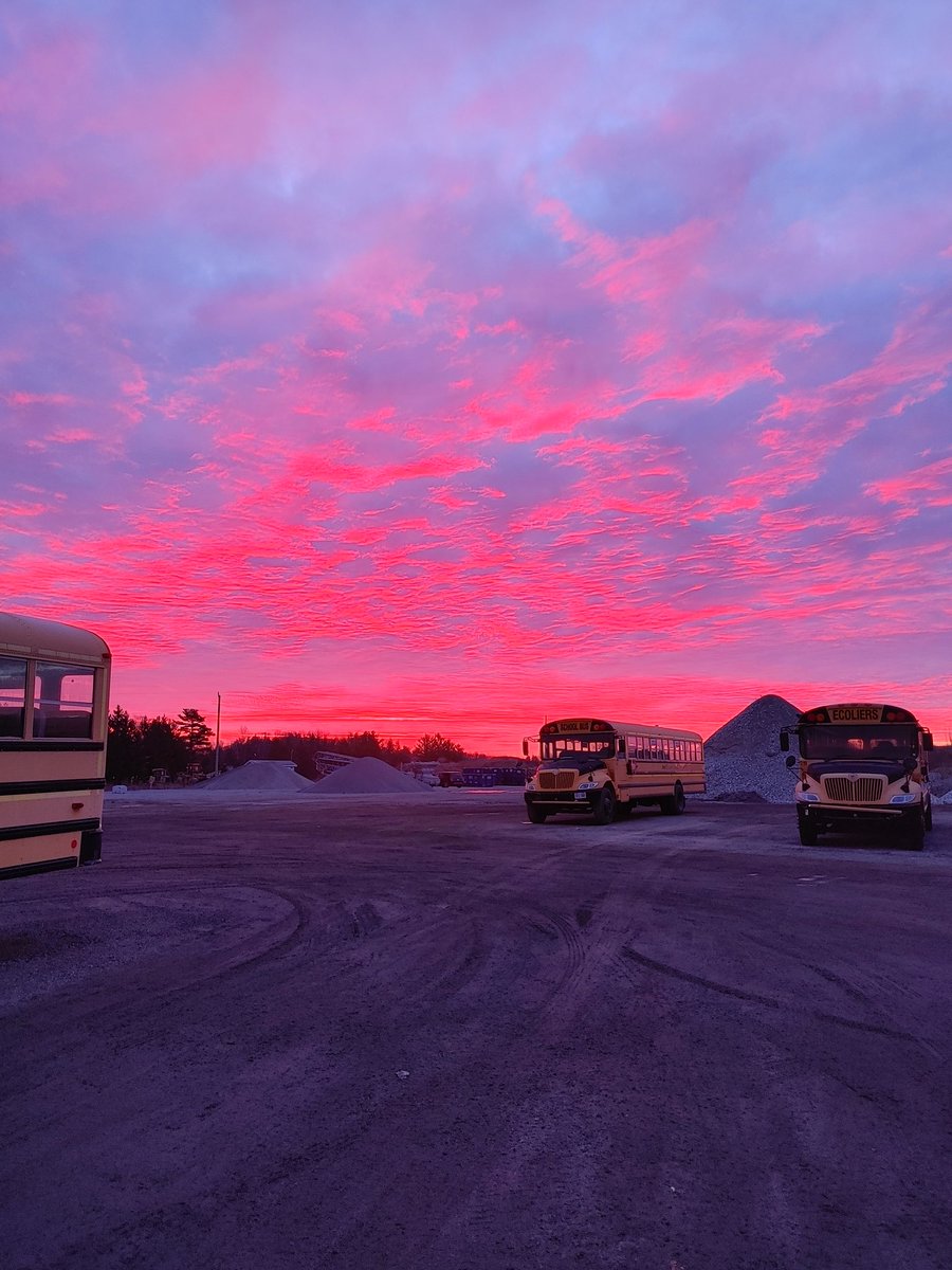 Amazing colours in the sunrise this morning, taken at the yard.
#schoolbusdriver
