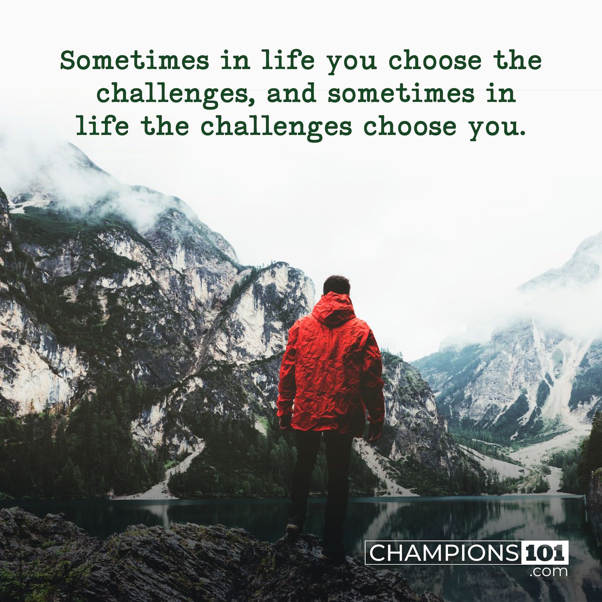 Champions_101's tweet photo. Champions 101:

“Sometime in life you choose the challenges, and sometimes in life the challenges choose you.”

Read “Get Tougher,” here: https://t.co/Z7Pyu4DPgy https://t.co/TQXAWbrPov