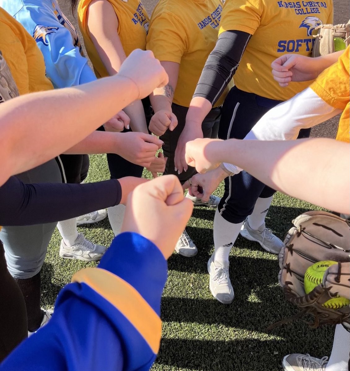 #GirlsAndWomenInSportsDay #WomenInSportsDay #softball