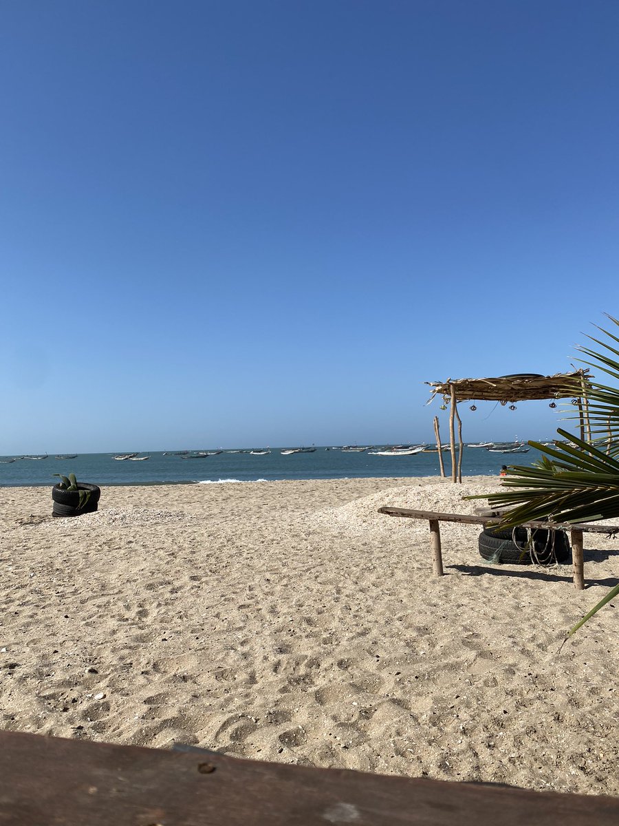 adama32316814's tweet image. 🇬🇲✍🏾🙏🏿