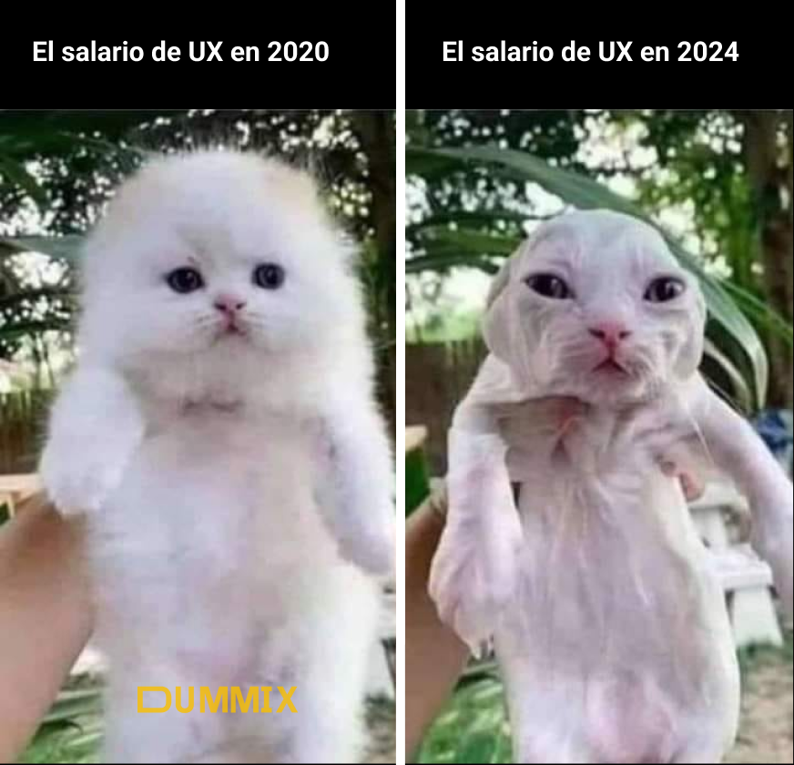 dummix_ux's tweet photo. Aprende tips para identificar vacantes, preguntar de vuelta y negociar https://t.co/d6JsSmRAll