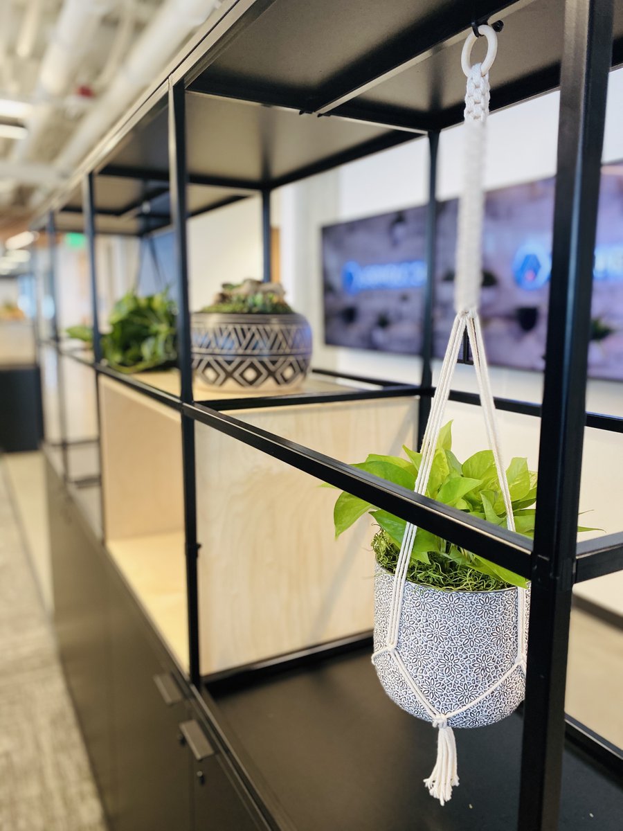 Botanical Designs tweet media