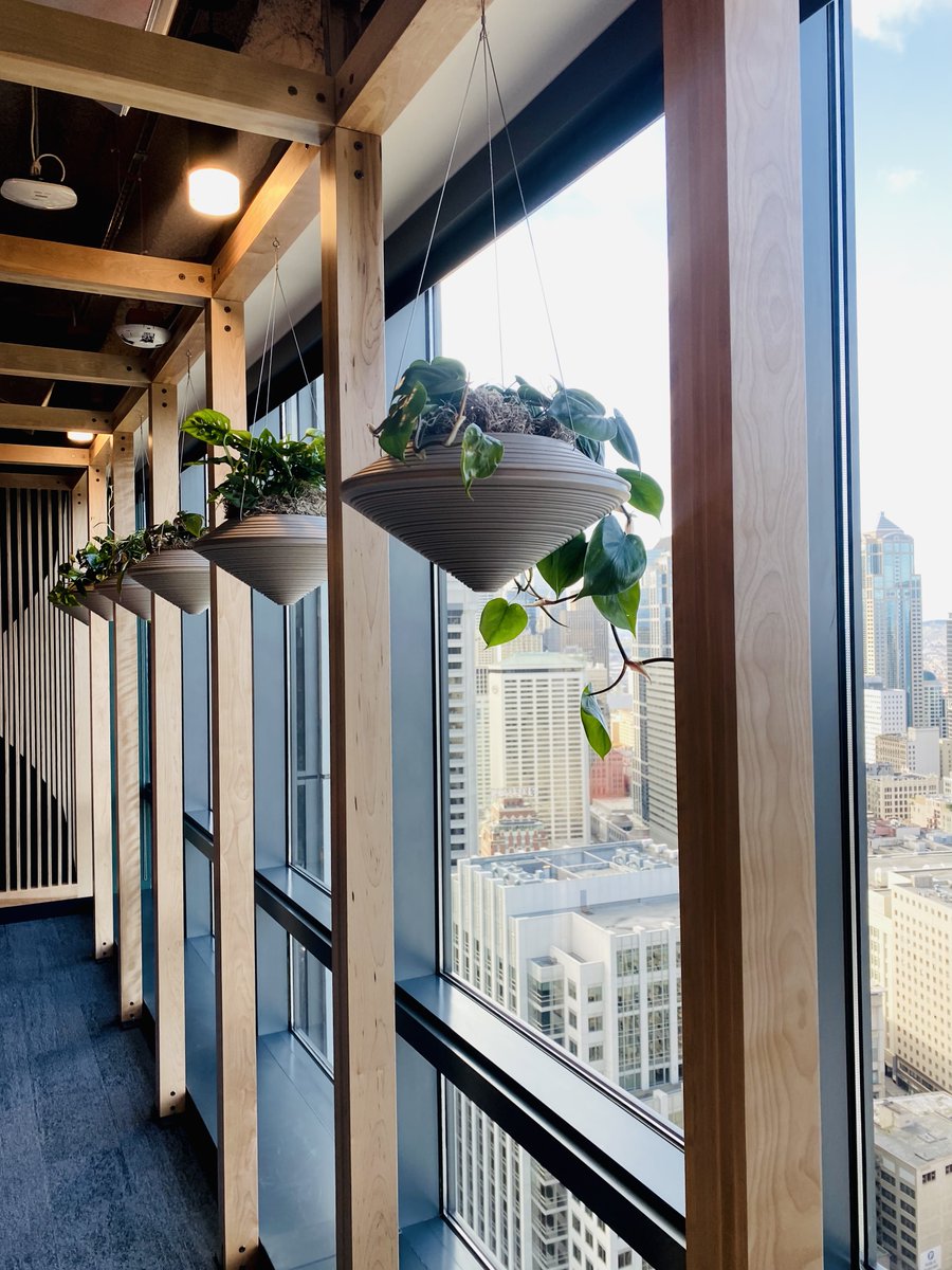 Botanical Designs tweet media